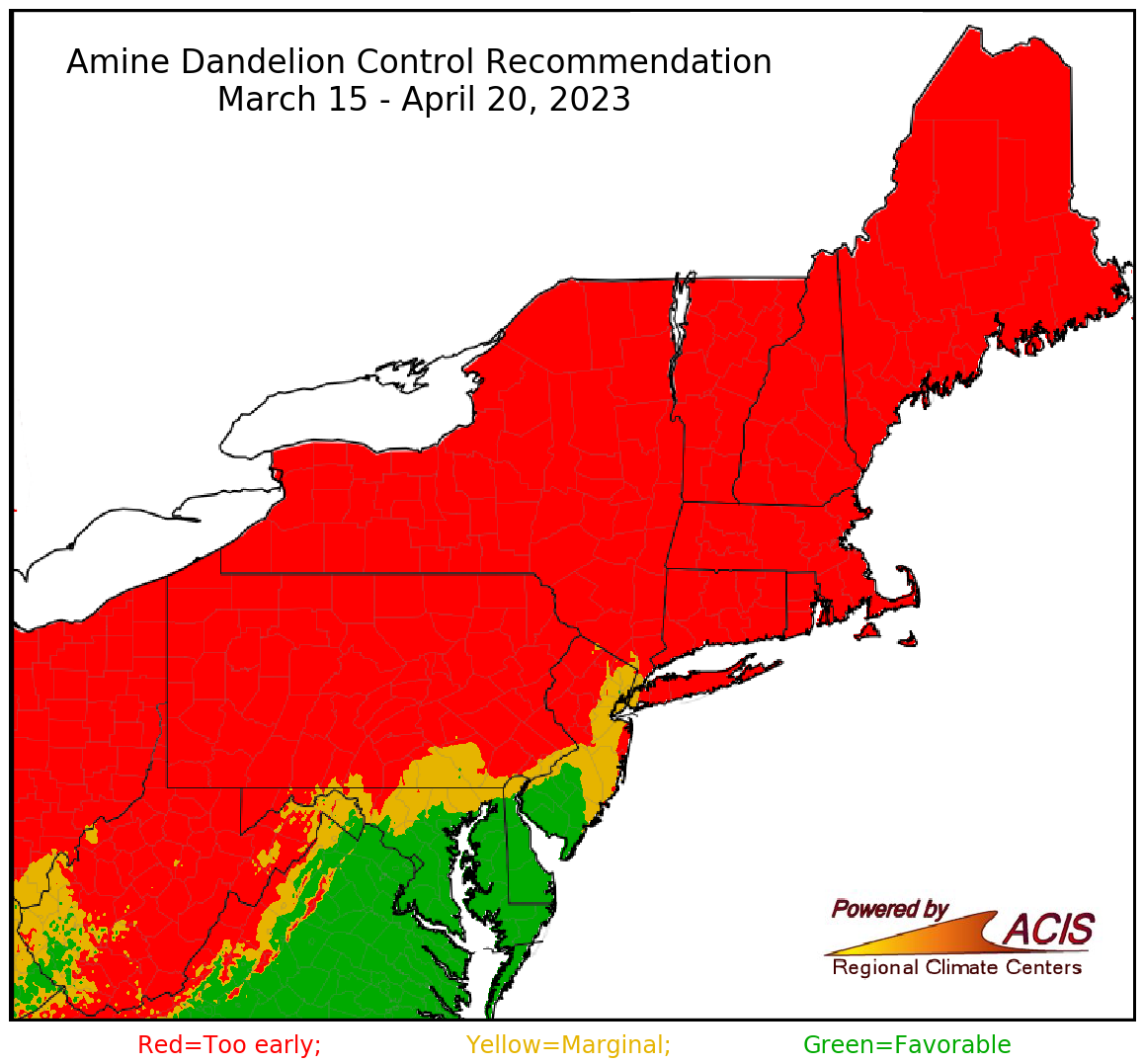 amine dandelion control recommendation
