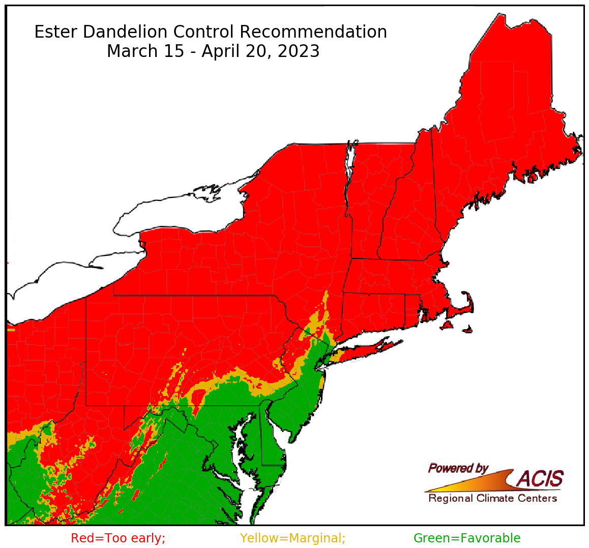 ester dandelion control recommendation