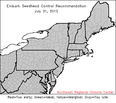ester dandelion control recommendation