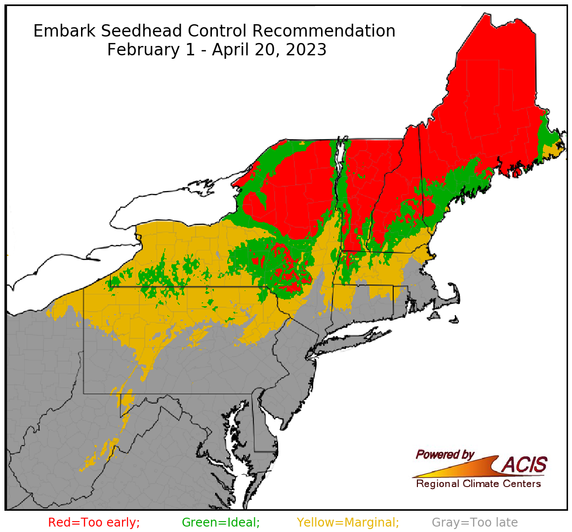 ester dandelion control recommendation
