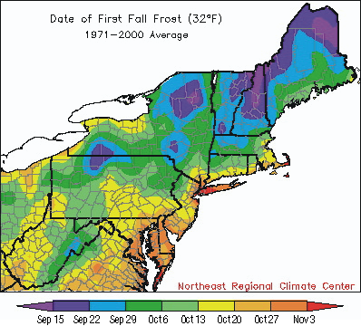 first frost normal map