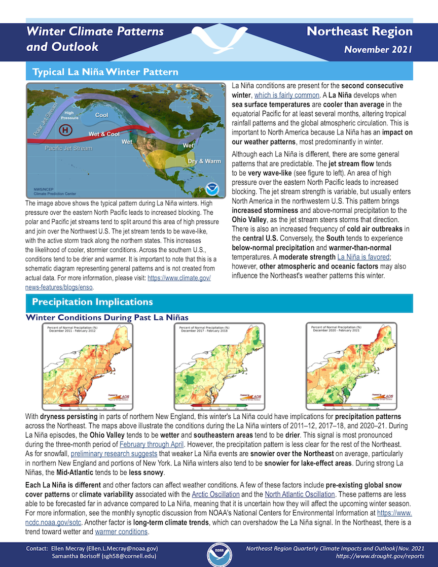 report cover
