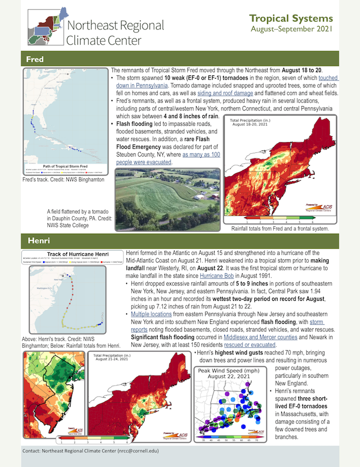 report cover