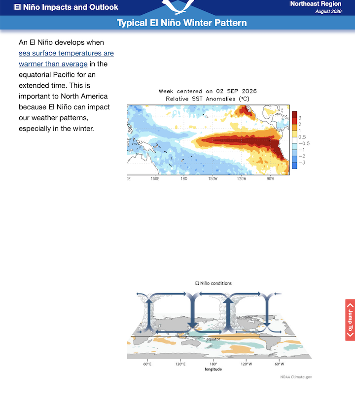 report cover
