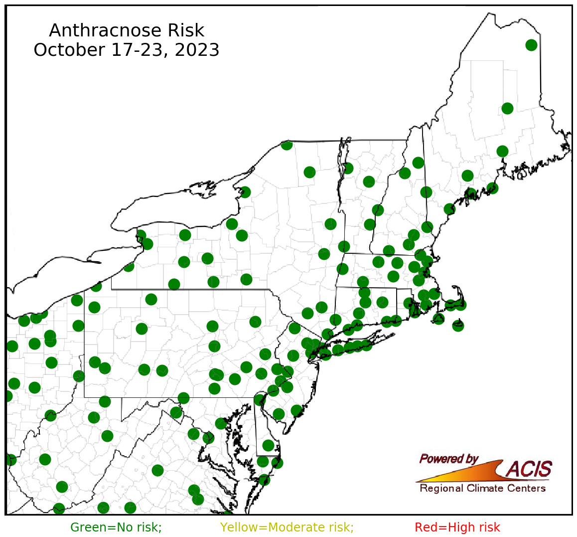 anthracnose