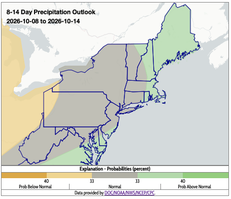 precip outlook