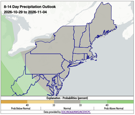 precip outlook