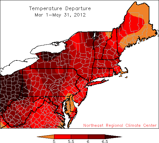 spring tdpt map