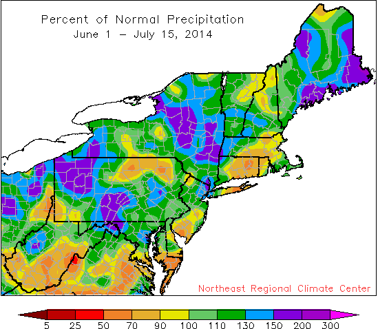 mid summer pdpt map