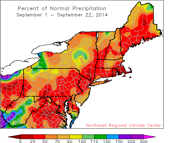 pdpt map