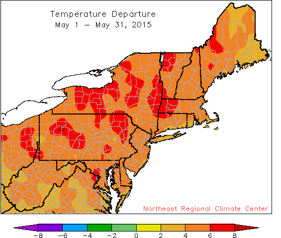 may tdpt map