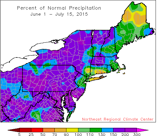 mid summer pdpt map