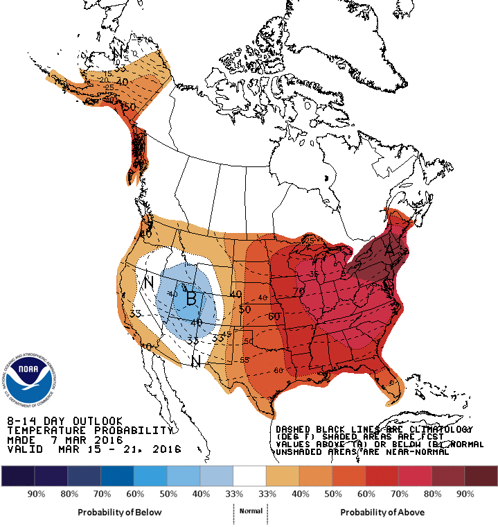 feb pdpt map