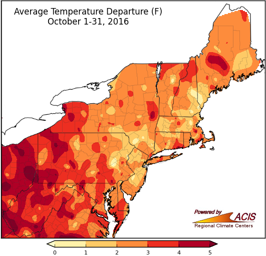 oct tdpt map