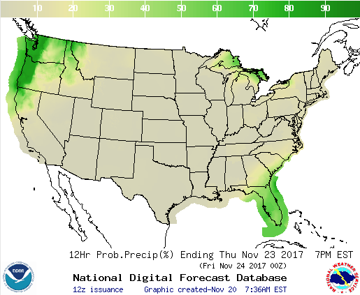 precip forecast