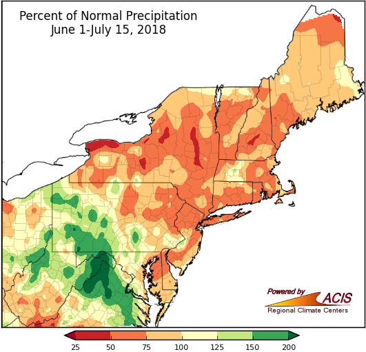 Summer precip map