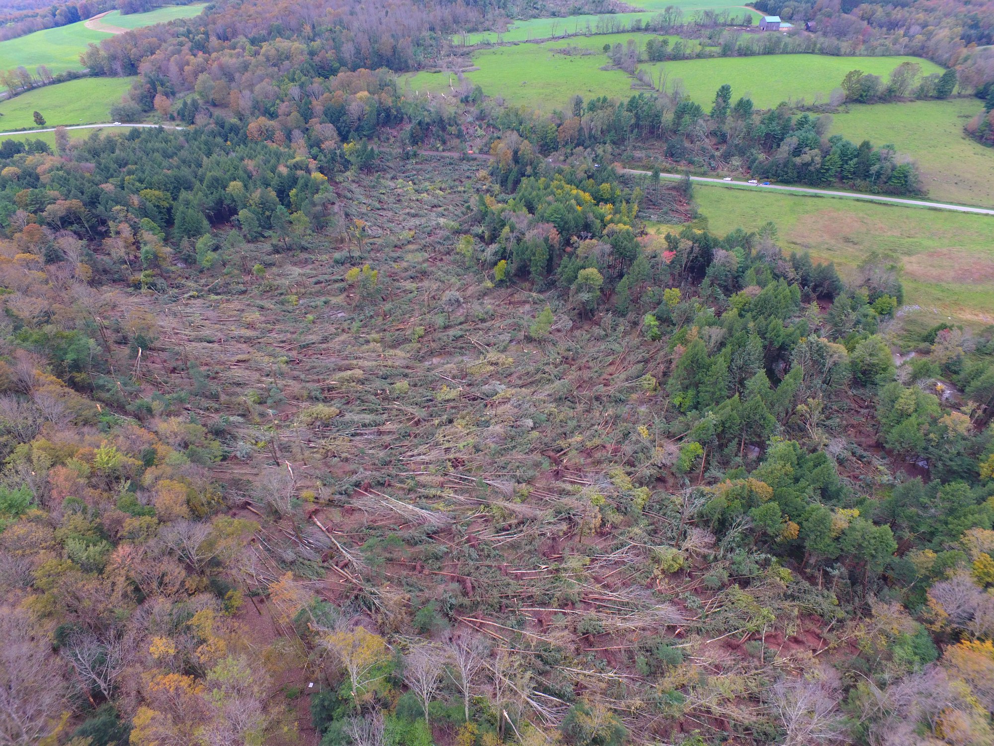 tornado damage pic