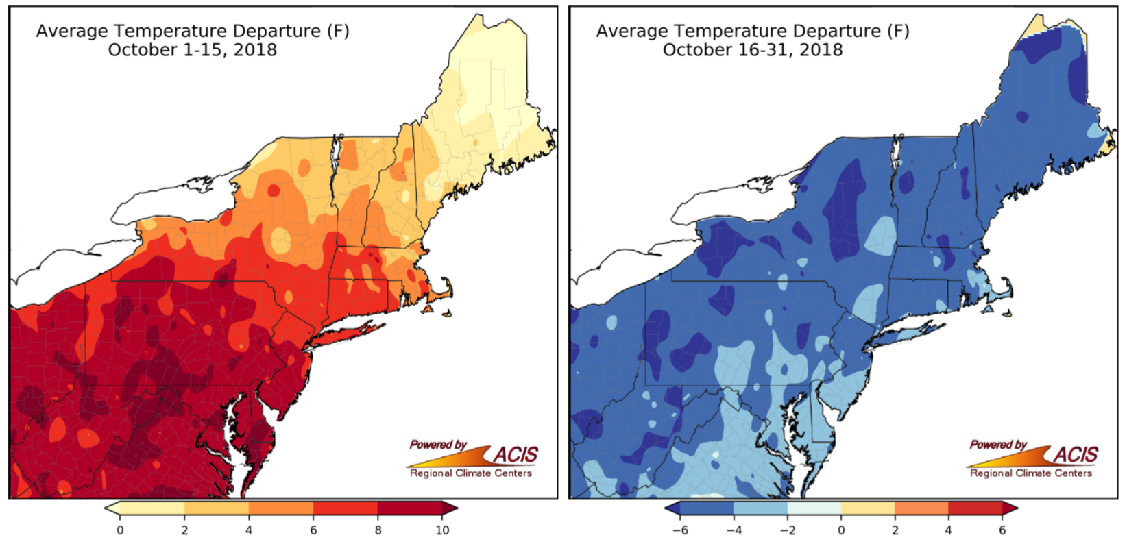 Oct tdpt map