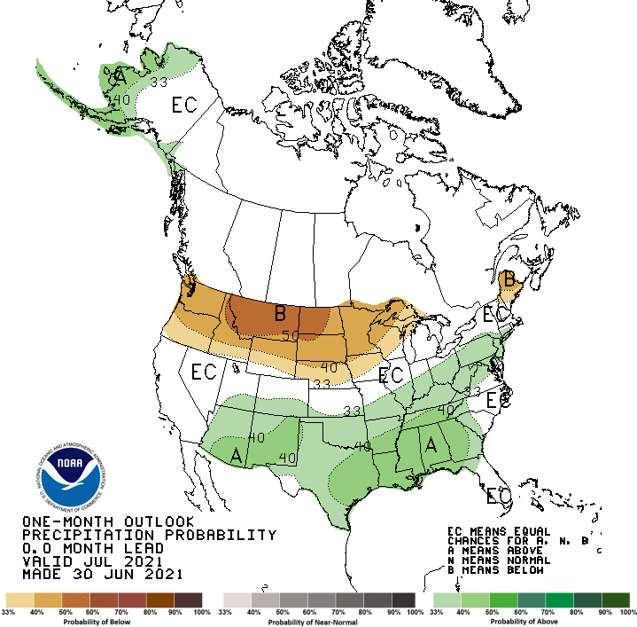 precip outlook map